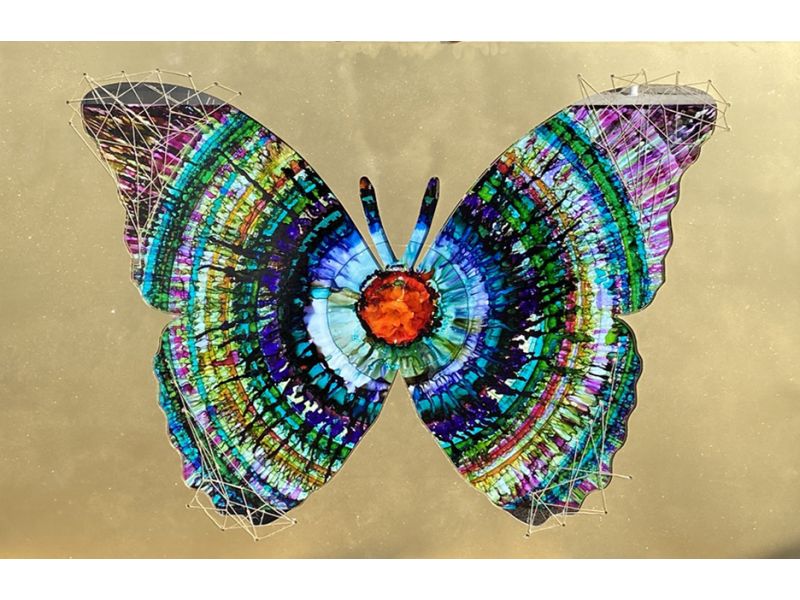 Large scale original Butterfly collection